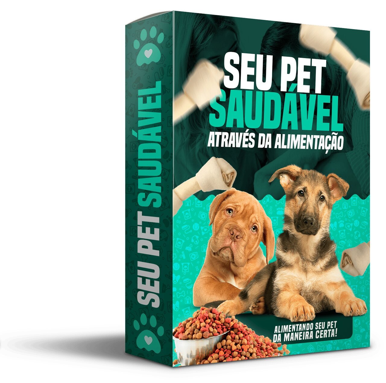 Adestrando seu pet em casa